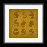 All Lined Up- Pears Fine Art Print