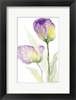 Teal and Lavender Tulips II Fine Art Print