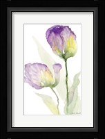 Teal and Lavender Tulips II Framed Print