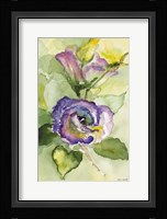 Watercolor Lavender Floral II Framed Print