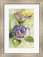 Watercolor Lavender Floral II Fine Art Print