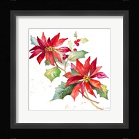 Poinsettias I Framed Print