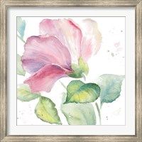 Fragrant Hibiscus I Fine Art Print