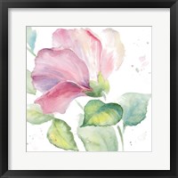 Fragrant Hibiscus I Framed Print