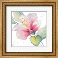 Fragrant Hibiscus II Fine Art Print
