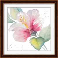 Fragrant Hibiscus II Fine Art Print