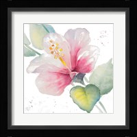 Fragrant Hibiscus II Framed Print