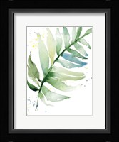 Swaying Palm Fronds II Framed Print