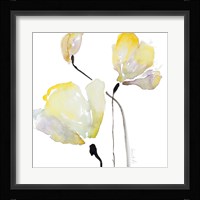 Basking in the Sunshine I Framed Print