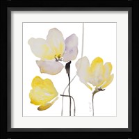 Basking in the Sunshine II Framed Print