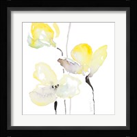 Basking in the Sunshine IV Framed Print