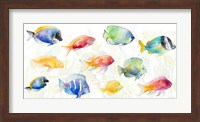 School of Tropical Fish Fine Art Print