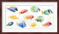 School of Tropical Fish Fine Art Print
