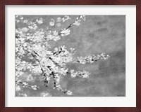 Sakura Silver Fine Art Print