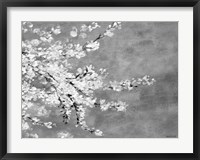 Sakura Silver Fine Art Print