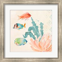 Tropical Teal Coral Medley I Fine Art Print