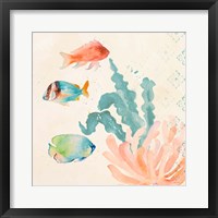 Tropical Teal Coral Medley I Framed Print