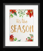 Holiday Poinsettias I Fine Art Print