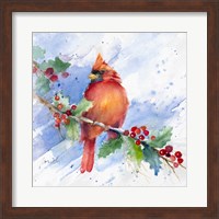 Cardinal on Holly Branch Fine Art Print