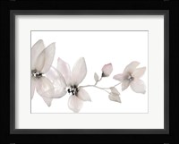 Blooming Whispers I Framed Print