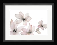 Blooming Whispers II Framed Print