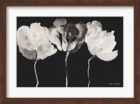 Trio in Light on Black Fine Art Print