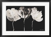 Trio in Light on Black Fine Art Print