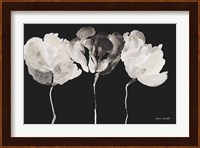 Trio in Light on Black Fine Art Print