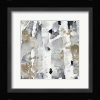 Evening Forest II Framed Print