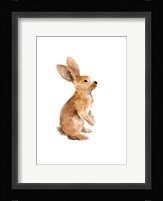 Meadow Buddy I Framed Print