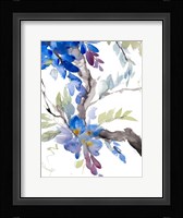 Peaceful Wisteria Fine Art Print