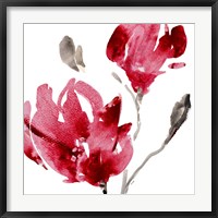 Red Magnolias Fine Art Print