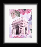 Parisian Blossoms II Framed Print