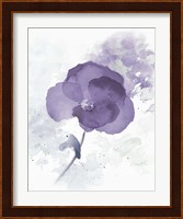 Translucent Mauve Poppy I Fine Art Print