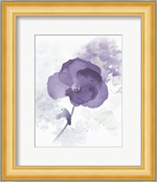 Translucent Mauve Poppy I Fine Art Print