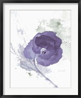 Translucent Mauve Poppy II Fine Art Print