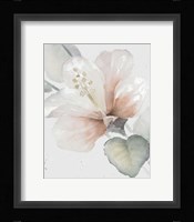 Neutral Hibiscus II Framed Print