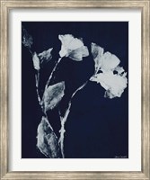 Floral Whisper In The Dark II Fine Art Print