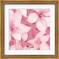 Blooming Pink Whispers I Fine Art Print