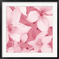 Blooming Pink Whispers I Fine Art Print