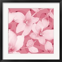 Blooming Pink Whispers II Fine Art Print