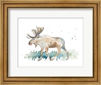Watercolor Moose Fine Art Print