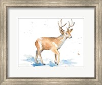 Watercolor Deer Fine Art Print