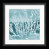 Deep Coral Square I Framed Print