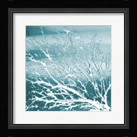 Deep Coral Square II Framed Print