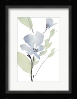Glowing Blooms I Framed Print