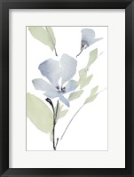 Glowing Blooms I Framed Print