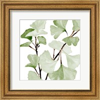 Mint Ginko Stems I Fine Art Print