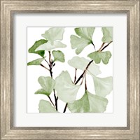 Mint Ginko Stems I Fine Art Print