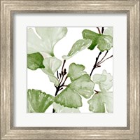 Mint Ginko Stems II Fine Art Print